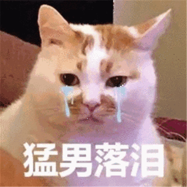高考过后，没人可以逃过真香定律！