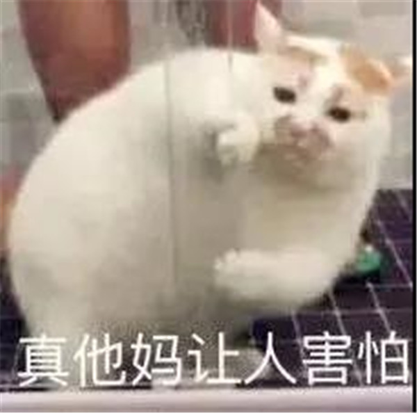 留学生到底要不要上网课？(图3)